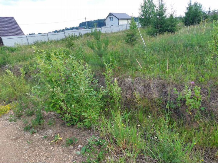 Участок 10 сот. (СНТ, ДНП)