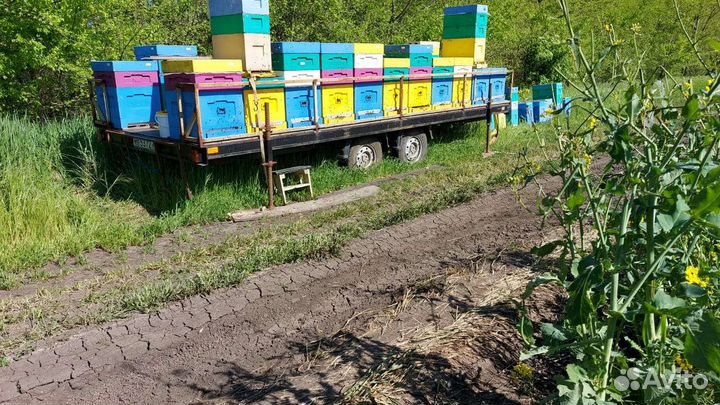 Продажа легковых автоприцепов