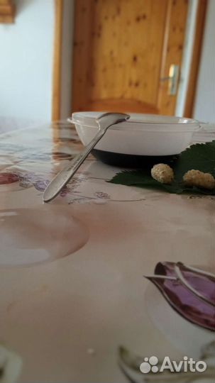 Тутовый дошаб