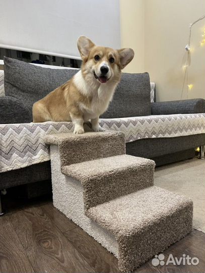 Лесенка для собак