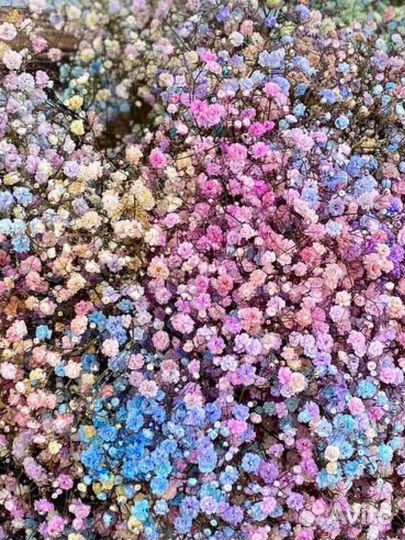 Цветы гипсофила пышная от Flowers124 доставка