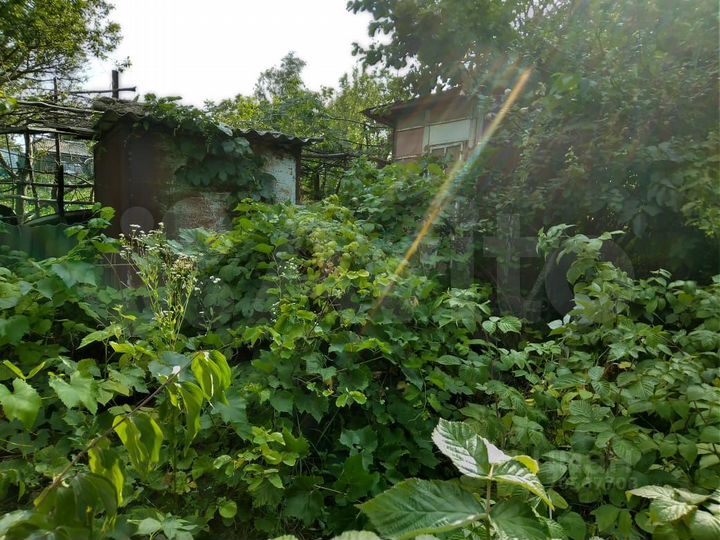 Участок 4,7 сот. (СНТ, ДНП)