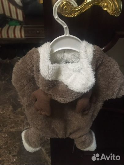 Одежда для собак мелких пород