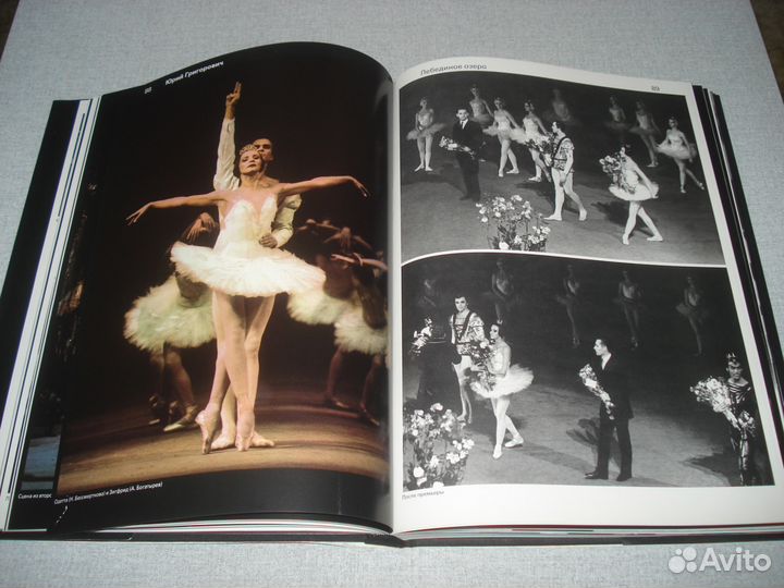 Эстрада, Кино, Балет, Спорт, Политика, Животное