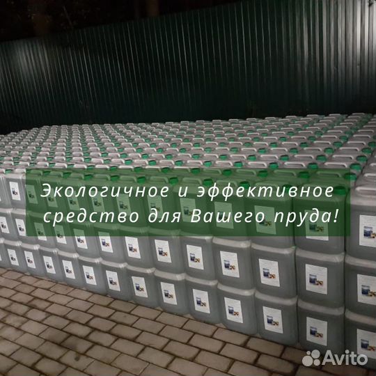 Хлорелла высокой плотности для водоемов