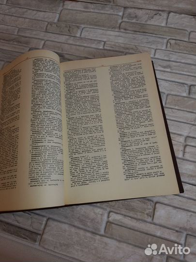 Большой русско-французский словарь, 847 стр