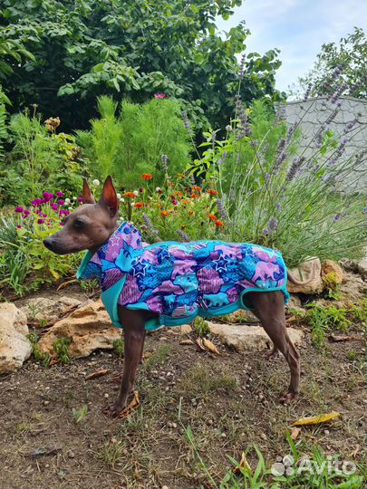 Комбинезоны для собак