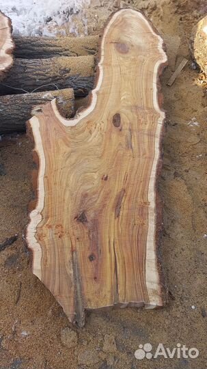 Слэб из карагача