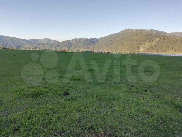 Участок 1,2 га (СНТ, ДНП)