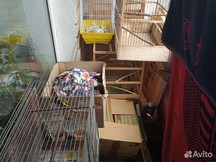Большая клетка для птиц