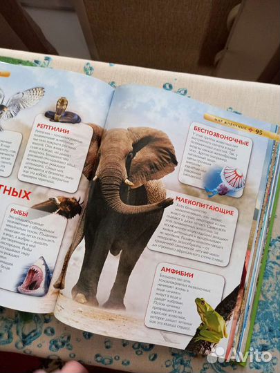 Энциклопедия, словарь