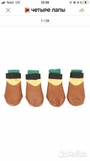 Носки для собак мелких пород