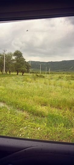 Участок 40 сот. (СНТ, ДНП)