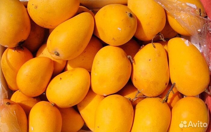 Манго Тайланд спелый