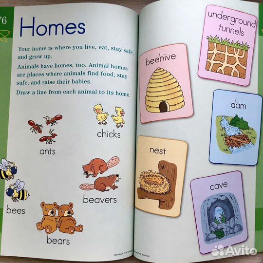 Развивающие тетради на англ яз /Brain Quest и др