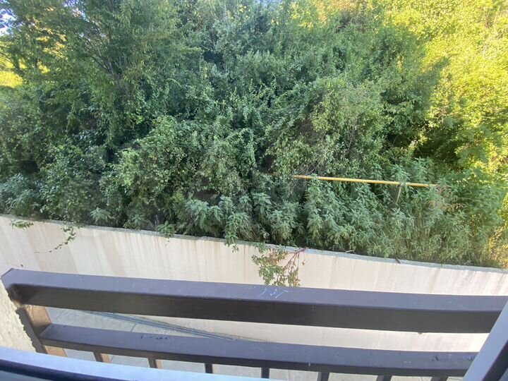 1-к. квартира, 32 м², 3/9 эт.