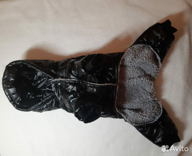 Одежда для собак мелких пород