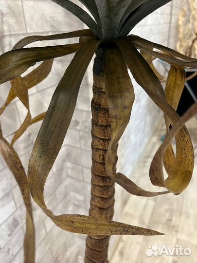 Искусственное дерево Агава