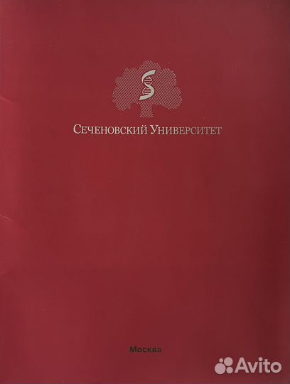 Услуги переводчика