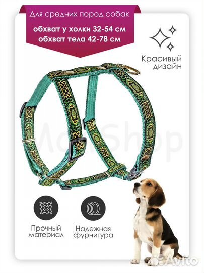 Анатомическая шлейка для собак средних пород