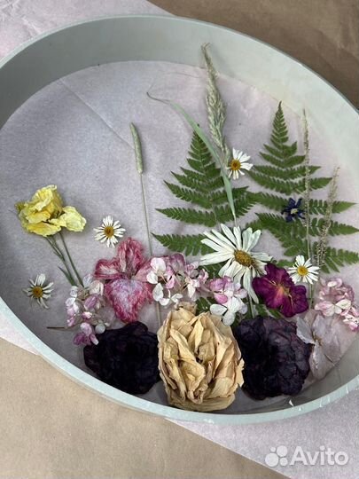 Сухоцветы лето