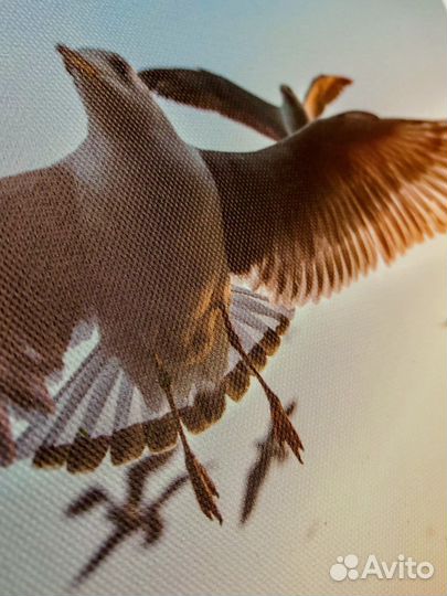 Рамки для фото IKEA и постеры