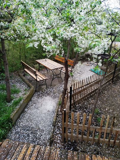 Квартира-студия, 25 м², 1/3 эт.