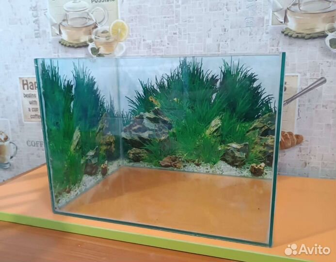 Аквариум с фильтром