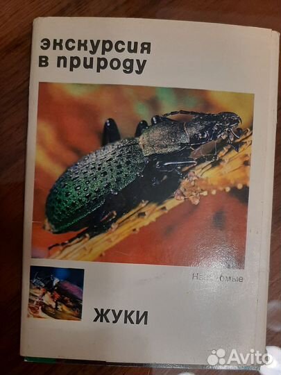 Открытки экскурсия в природу растения