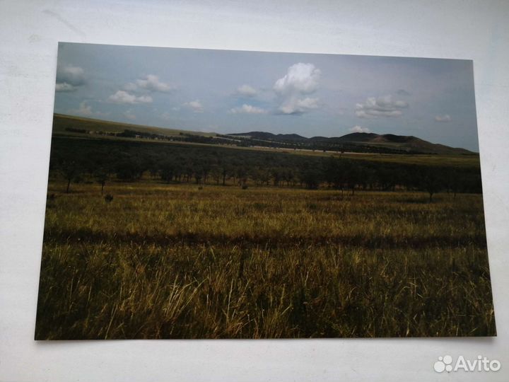 Пейзажные фотографии в интерьер природа ландшафт