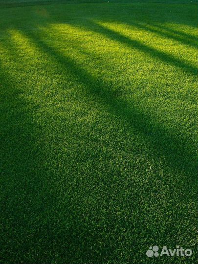 Podkormin Удобрение для газона весна