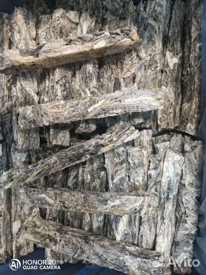 Корм для собак и кошек