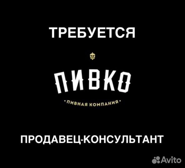 Продавец консультант