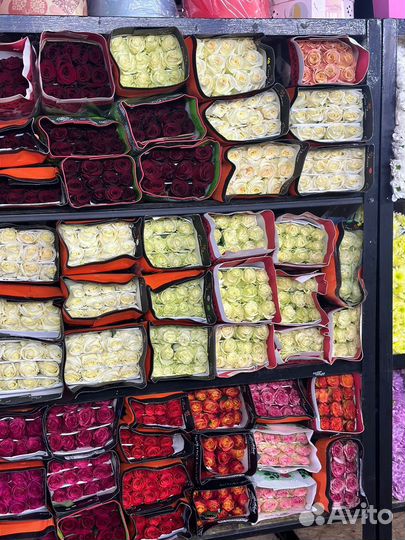 Розы свежие от склада,свежие цветы,Доставка