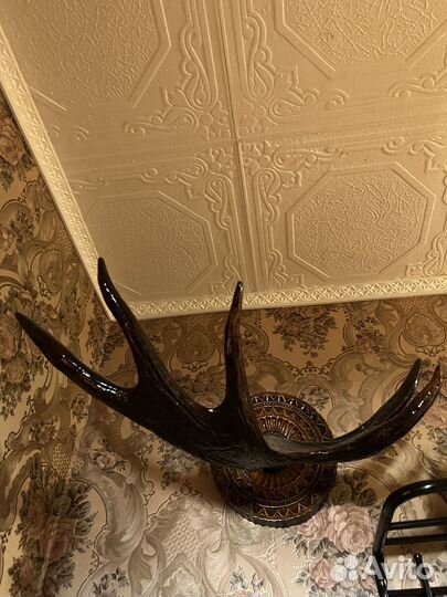 Рога лося на медальоне