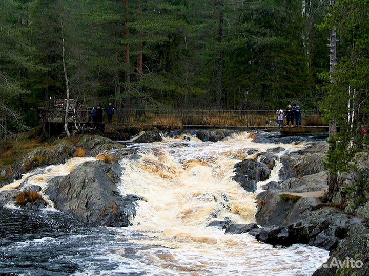 Авторский тур в Карелию. Комфортные передвижения