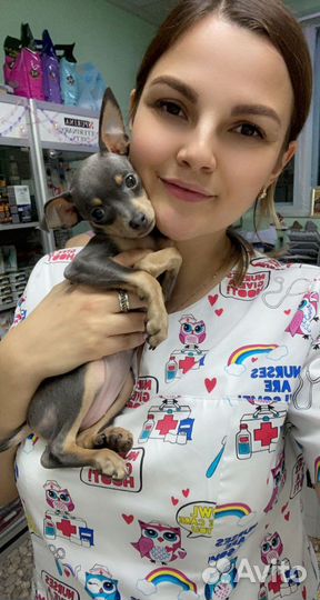 Ветеринарный врач на дом