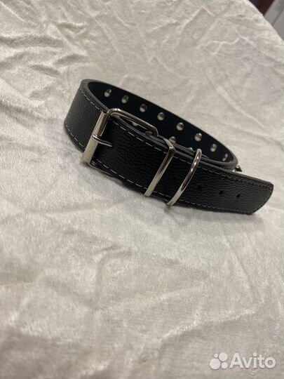 Ошейник для собак