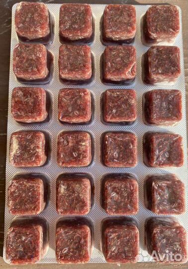 Замороженные и сухие корма для аквариумных рыб