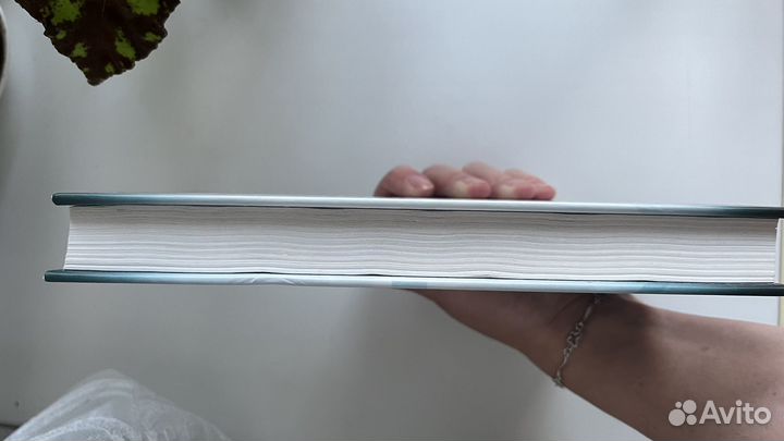 Алекс Михаэлидес 