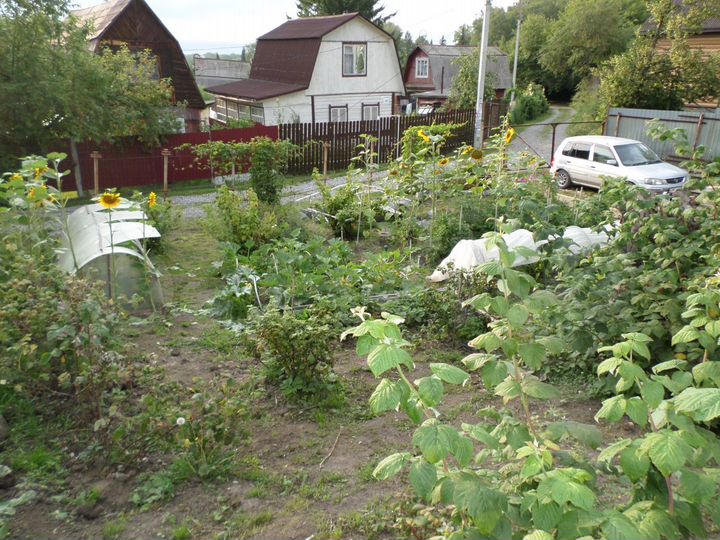 Авито кольцово новосибирская область. Снт аист. Снт лето кольцово. Снт проектировщик волгоград. Дача снт.