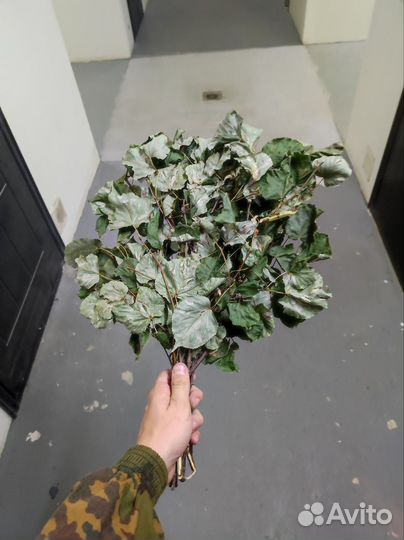 Банные веники