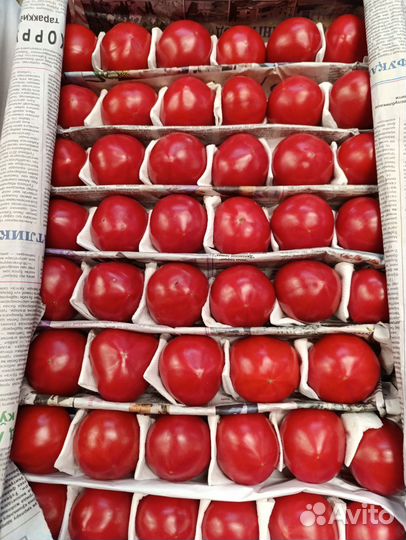 Помидоры свежие