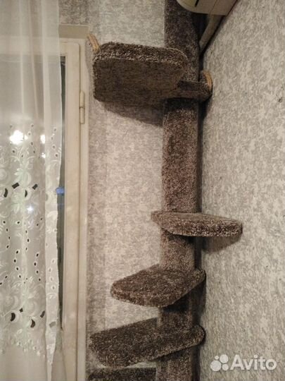 Кошачий игровой комплекс