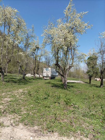 Участок 3 га (СНТ, ДНП)