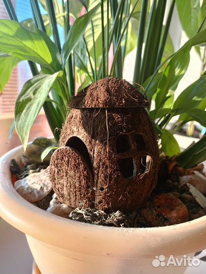 Домик, грот укрытие для аквариума из кокоса