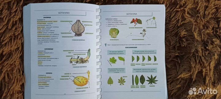 Учебник по биологии
