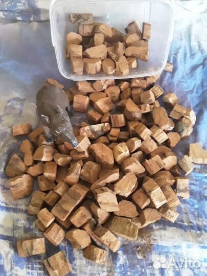 Кора дуба для орхидей