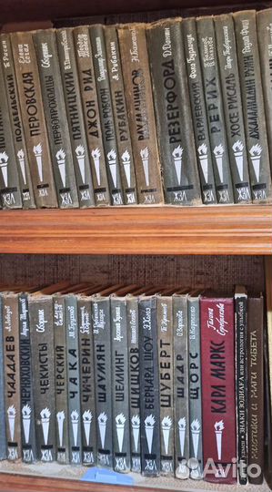 Книги жзл Биография, детектив