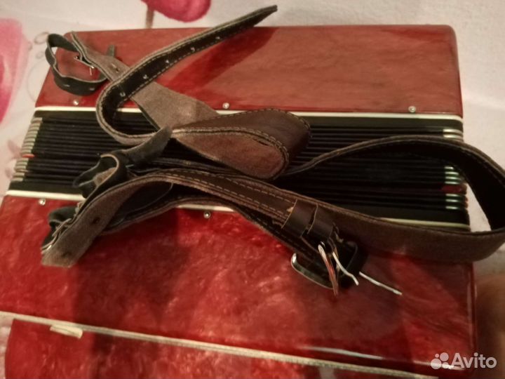 Баян огонек 2